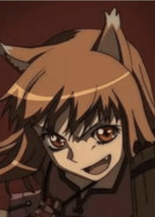 �ҵĳ��������粻��