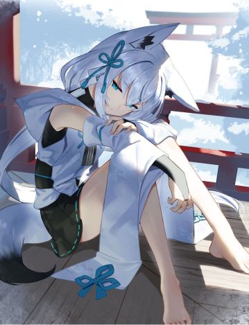 ����������EVA