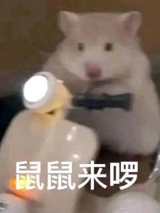 ��������������������