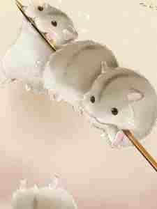 ��������������Ķ��ﶼ����С��