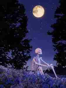 �ε�������ʲô���õģ�